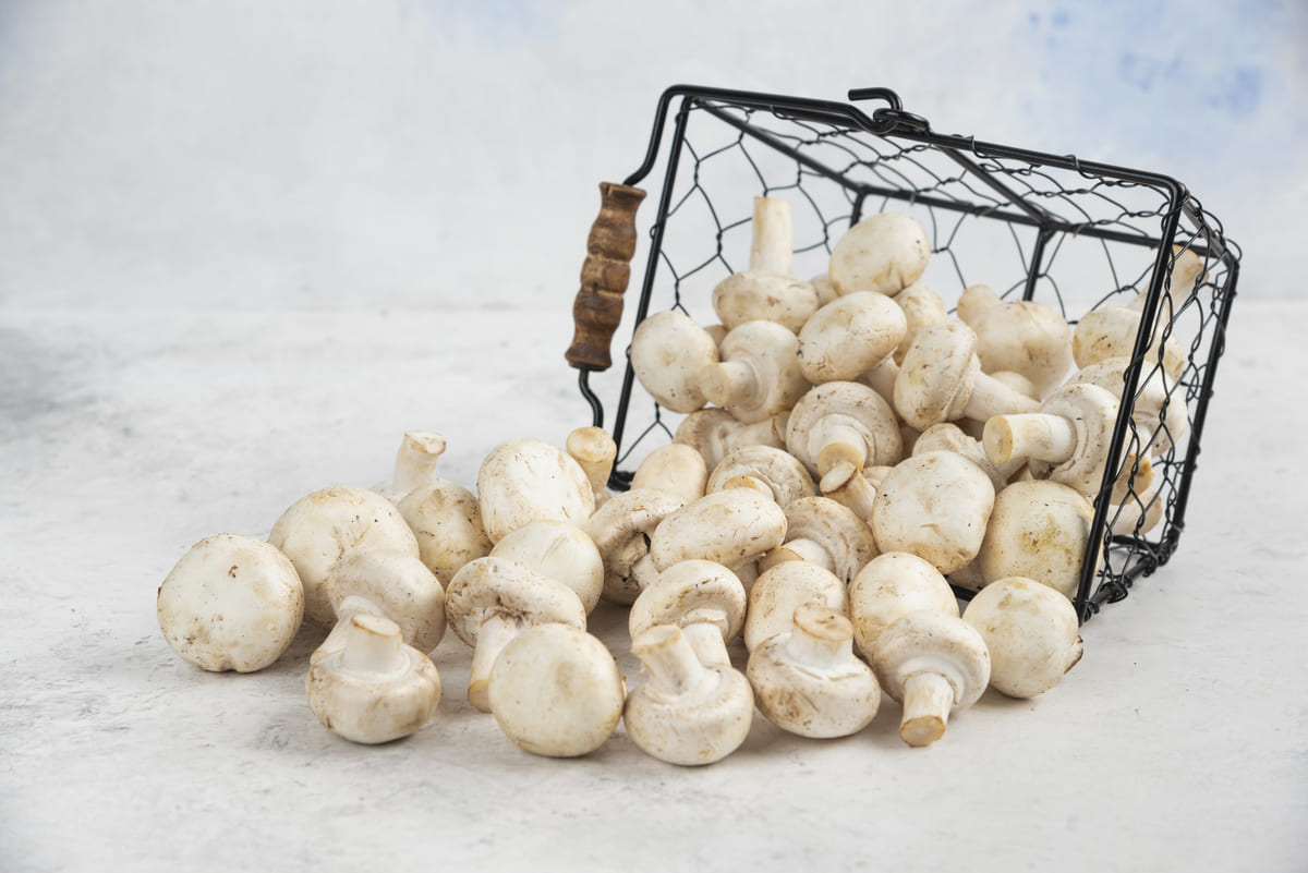 Икра грибная через мясорубку — ТОП-10 рецептов - 8